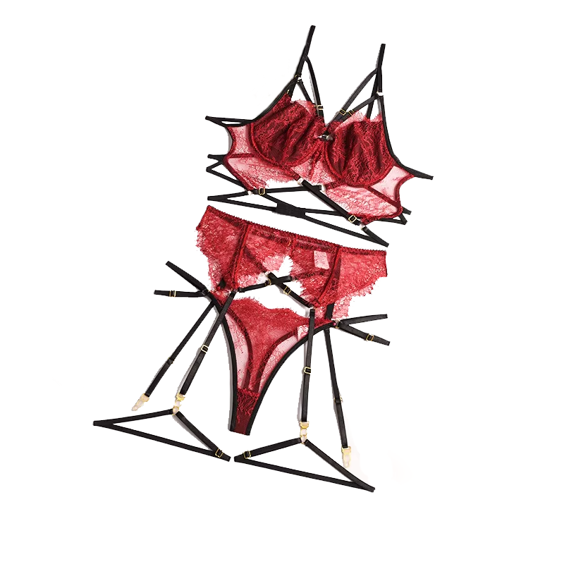Sheer Bra Lace - Ensemble de soutien-gorge et jarretière en